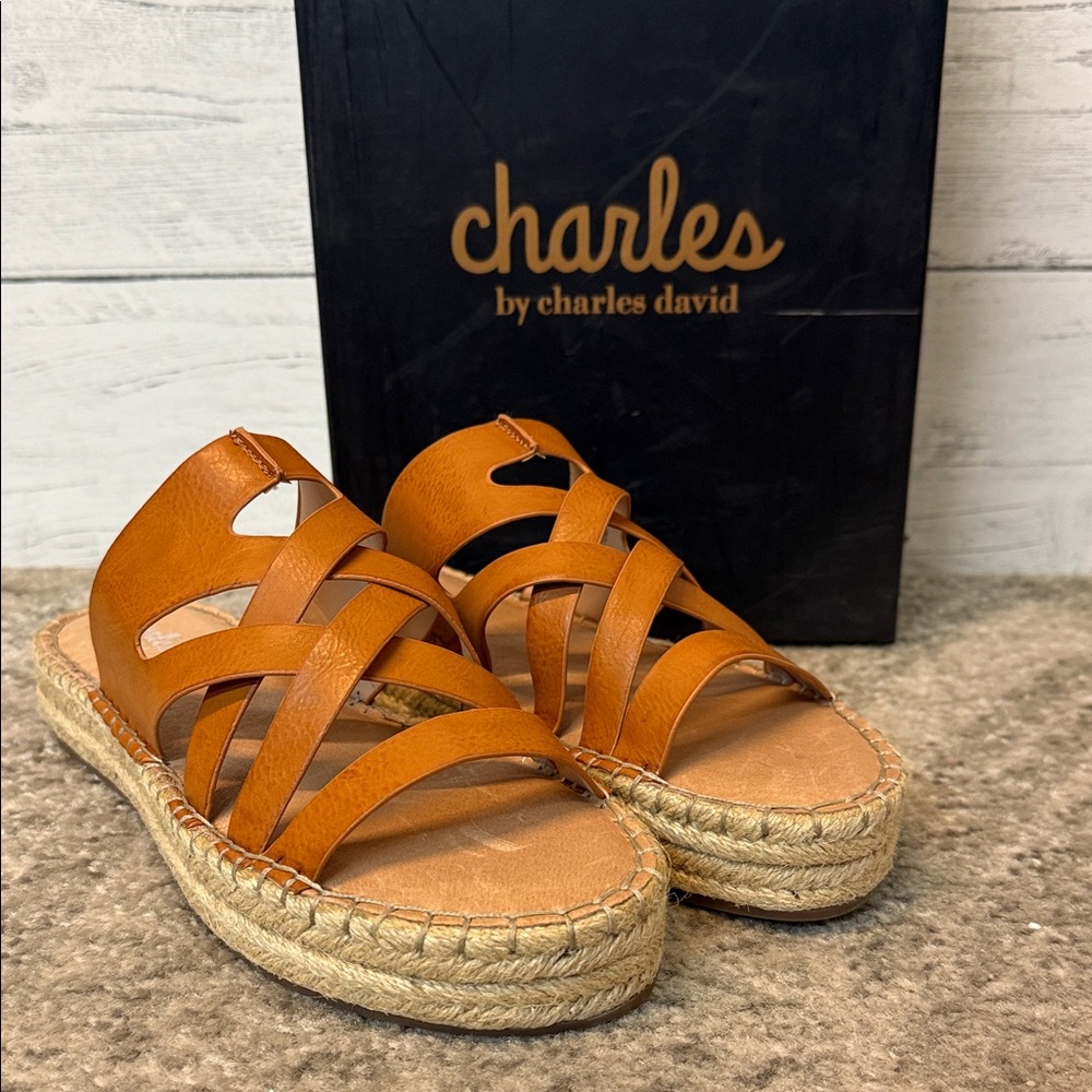 NWT Charles by Charles David Women's Platform Sandals